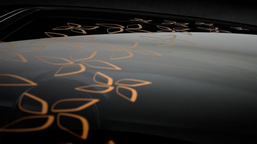  Renault Sandero Stepway Concept 2010 года  (фото 6 из 12)